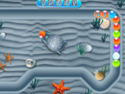 Play Hasty Turtle Hasty Turtle Game Online